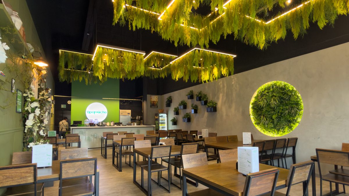 Salón de Apapacho con el muro verde